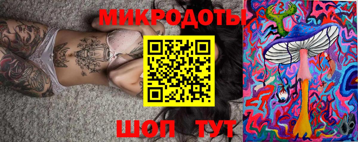 Псилоцибиновые грибы Cubensis Элиста