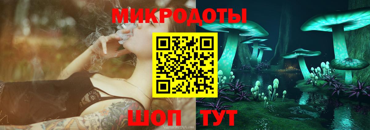 Элиста  Галлюциногенные грибы MAGIC MUSHROOMS  Вход с VPN 